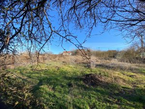 Casa veche cu 4 camere,  teren 1800 mp, Henig - imagine 2