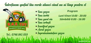 Întreținere spații verzi