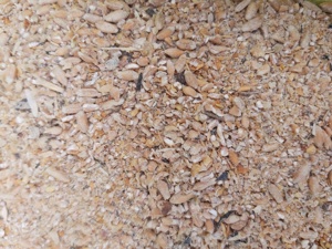 Furaj concentrat pentru gaini ouatoare 