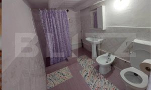 Casa individuala cu 3 camere, 217 mp utili,2000 mp teren,Intregalde - imagine 9