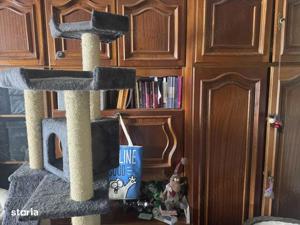 3 cam dec et intermediar bloc izolat Sagului Rebreanu