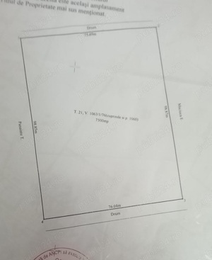 Teren intravilan Tomești