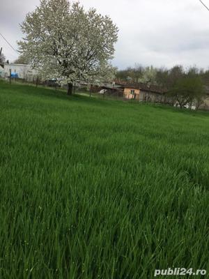 Vand casa si teren in loc.Baneasa, jud.Constanta - imagine 2 Vand casa si teren in loc.Baneasa, jud.Constanta - imagine 2