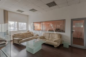 Doua hale / spatiu industrial + birouri 5000 mp / Sector 4 - imagine 10