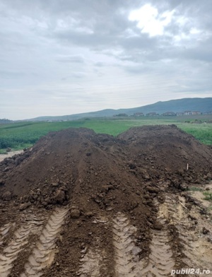 Pământ umplutură - imagine 2