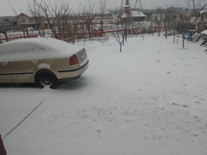 Vand Skoda Octavia 2006 - imagine 2