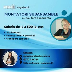 Angajam montatori subansamble in Sibiu