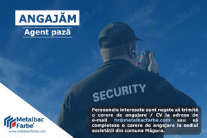 Agent de securitate