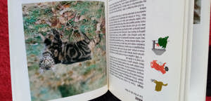 Carte Enciclopedia pisicilor Cats rase si ingrijirea lor cu ilustrate - imagine 5