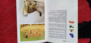Carte Enciclopedia pisicilor Cats rase si ingrijirea lor cu ilustrate - imagine 4