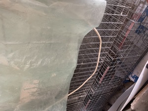 Baterii, crestere pui zburati plus lampi cu becuri etc