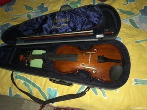 vioara 3 4
