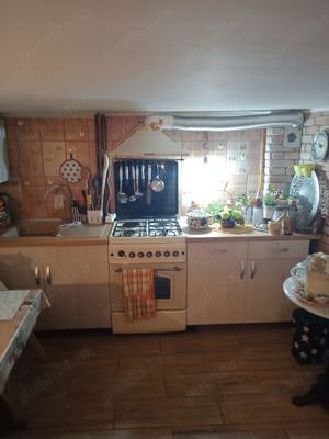 Vand in Dambul Pietros , casa cu 9 camere, 787 mp teren - imagine 2