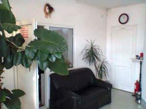 Vand in Dambul Pietros , casa cu 9 camere, 787 mp teren - imagine 6