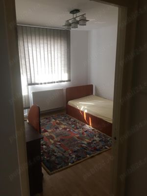 Vand in Dambul Pietros , casa cu 9 camere, 787 mp teren - imagine 8