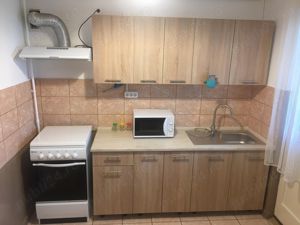 Vand in Dambul Pietros , casa cu 9 camere, 787 mp teren - imagine 7