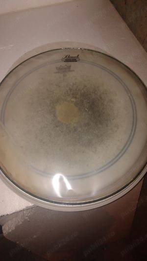 Fata de rezonanta pentru premier si surdina Evans