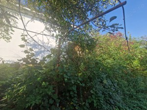 Cornetu str. Garoafei, vanzare teren intravilan 1.600mp - imagine 13