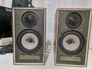 Boxe Scandyna Dynaco A10 