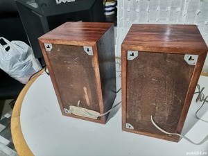 Boxe Scandyna Dynaco A10  - imagine 4