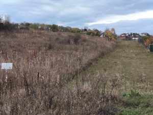 Teren excelent pentru investitie Cluj-Iris - imagine 2