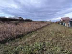 Teren excelent pentru investitie Cluj-Iris - imagine 3