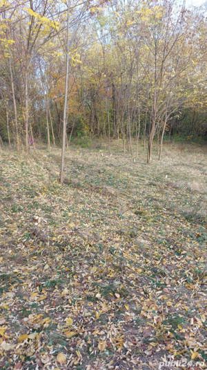 Teren intravilan 1600 mp in Brebu, sat Podu Cheii ,Prahova - imagine 7