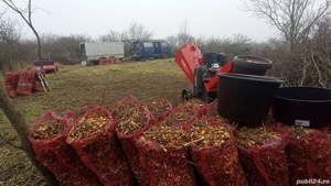 vand mulci, tocatura vegetala lemnoasa
