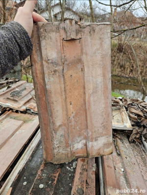 Vand Tigla de Ludus - imagine 2