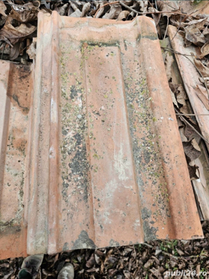 Vand Tigla de Ludus - imagine 3