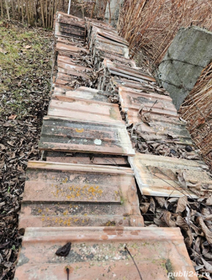 Vand Tigla de Ludus - imagine 4