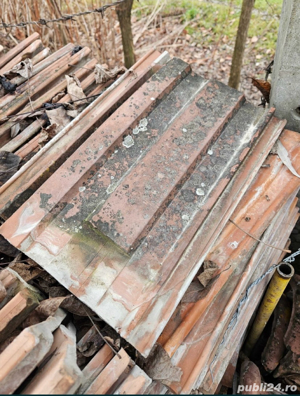 Vand Tigla de Ludus - imagine 5