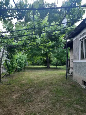 Casa batraneasca in Dumbravesti, Prahova, teren 1211 mp