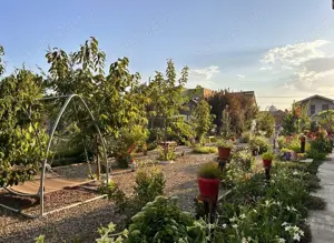 Vila de vânzare în Palazu Mare, Constanța   Proprietate spațioasă într-o zonă liniștită - imagine 12