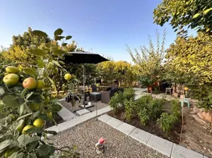 Vila de vânzare în Palazu Mare, Constanța   Proprietate spațioasă într-o zonă liniștită - imagine 13