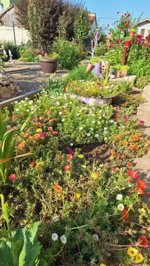 Vila de vânzare în Palazu Mare, Constanța   Proprietate spațioasă într-o zonă liniștită - imagine 16