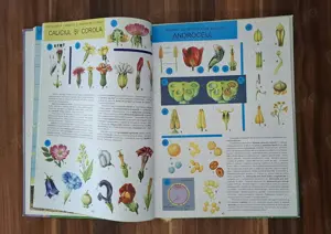 Particular!  Atlas Botanic  şi   Atlas Zoologic , Ed. Didactică şi Pedagogică - imagine 2