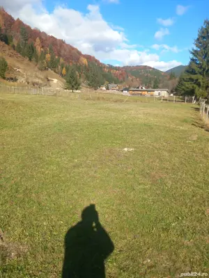 Teren Rucar- Râușor-Pietrele albe 23 eur  mp  negociabil