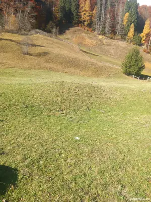 Teren Rucar- Râușor-Pietrele albe 23 eur  mp  negociabil - imagine 2