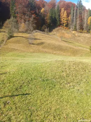 Teren Rucar- Râușor-Pietrele albe 23 eur  mp  negociabil - imagine 3