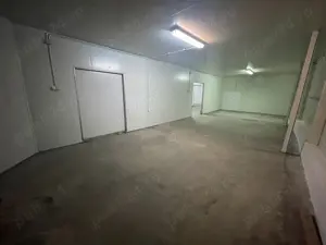 Spatii de depozitare 25 - 60 mp: produse BACANIE - Norme DSV - imagine 3