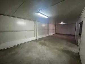 Spatii de depozitare 25 - 60 mp: produse BACANIE - Norme DSV - imagine 2