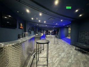 Vanzare Afacere la Cheie | Club de Noapte | Autorizat ISU | Herastrau 1150 MP - imagine 13