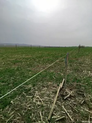 teren extravilan ezareni 