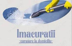 Curatare canapele, saltele, fotolii, tapiterii la domiciliu