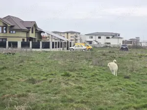 Teren de vanzare in zona  Km 5 Veterani - Constanta - imagine 11