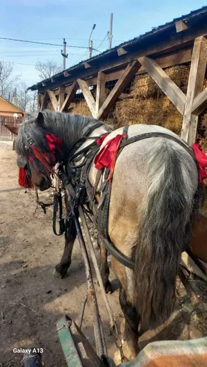 As dori un om sau o familie serioasa de munca