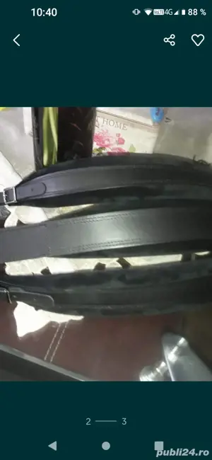 Curele pt orice acordeon