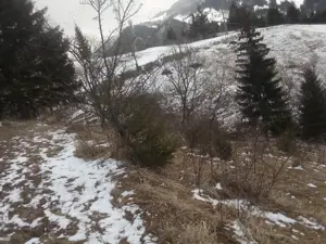 Teren intravilan Baia Borsa  - imagine 3