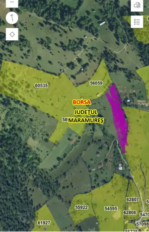 Teren intravilan Baia Borsa  - imagine 6